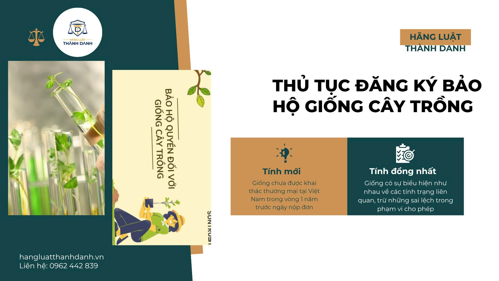 THỦ TỤC ĐĂNG KÝ BẢO HỘ GIỐNG CÂY TRỒNG TẠI VIỆT NAM